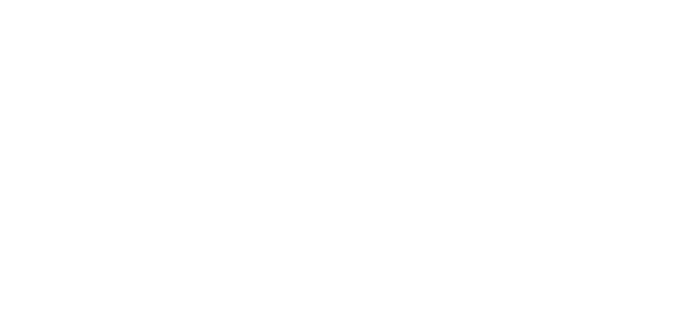 Scar Protocol